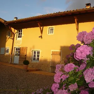 - Maison De Marie Guest house Messimy-sur-Saone